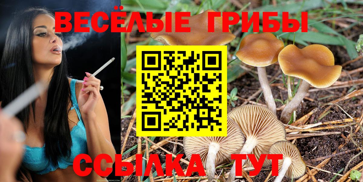 Галлюциногенные грибы прущие грибы Чебаркуль